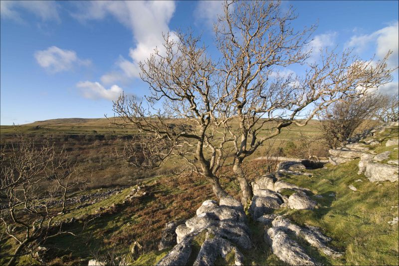 buckden rake.jpg